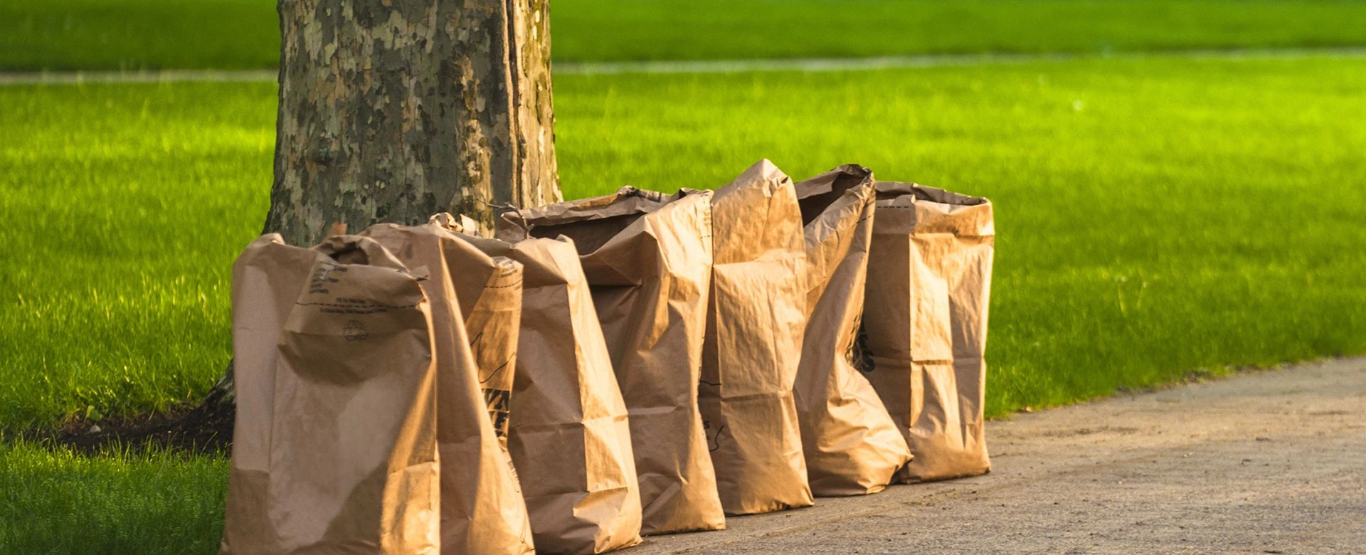 Yard Waste Pick Up Starts on April 20th Yard Waste Pick Up Starts on April 20th